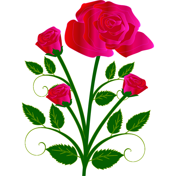 SVG Vector graphics of four roses on one stam