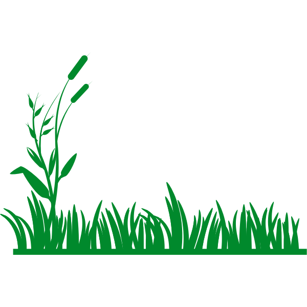 SVG Vector graphics of grass background