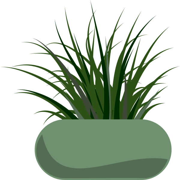 SVG Vector graphics of grass planted in a green modern planter