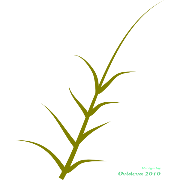 SVG Vector graphics of green plant growing to the side