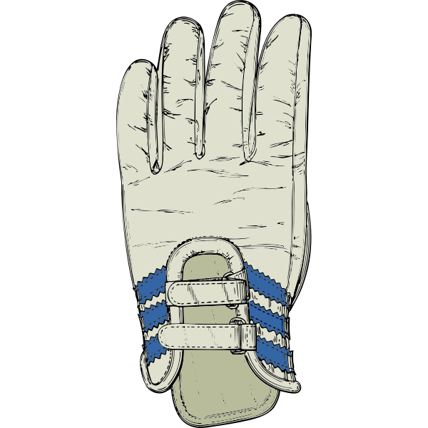 SVG Vector graphics of grey and blue ski glove
