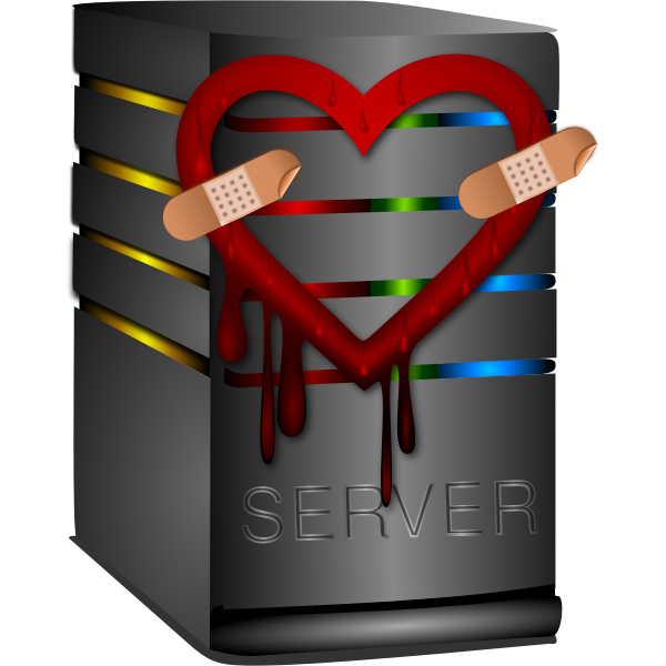 SVG Vector graphics of heartbleed server