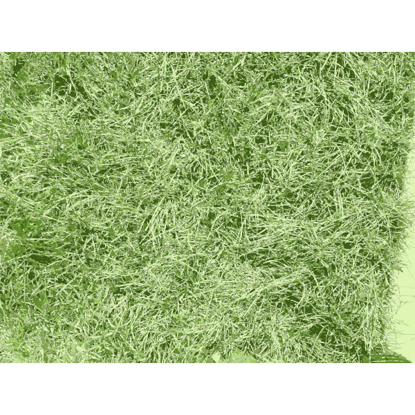 SVG Vector graphics of landscape