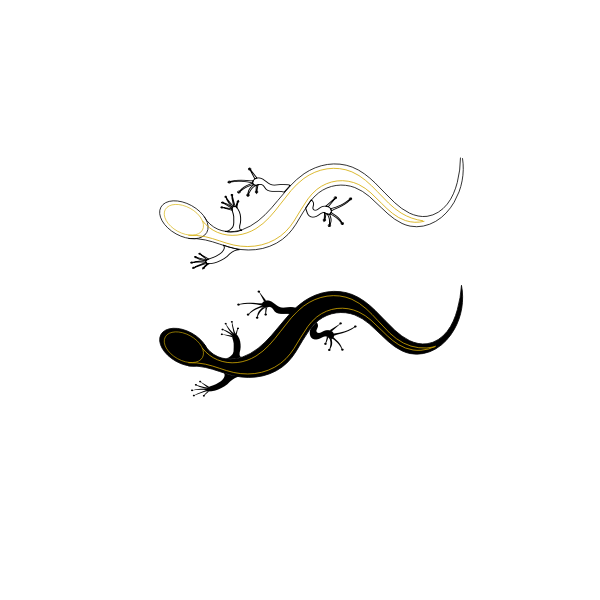 SVG Vector graphics of lizards