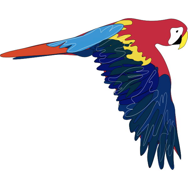 SVG Vector graphics of macaw flying