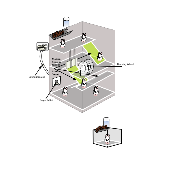 SVG Vector graphics of mouse experiment trap