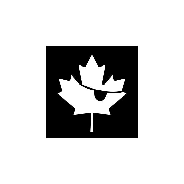 SVG Vector graphics of pirate maple leaf