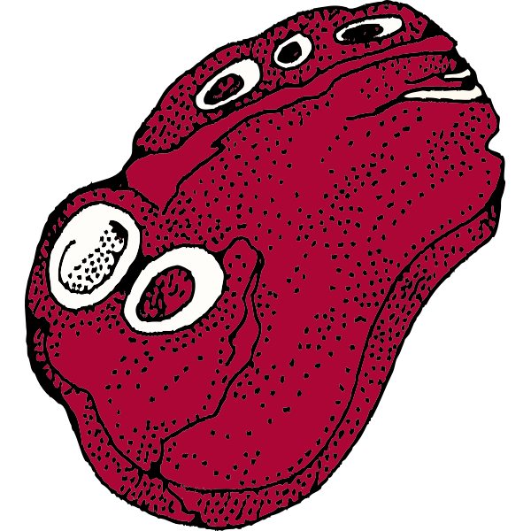 SVG Vector graphics of raw T-bone steak