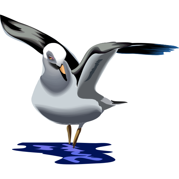 SVG Vector graphics of seagull flying up