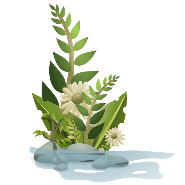 SVG Vector graphics of selection of plants in water