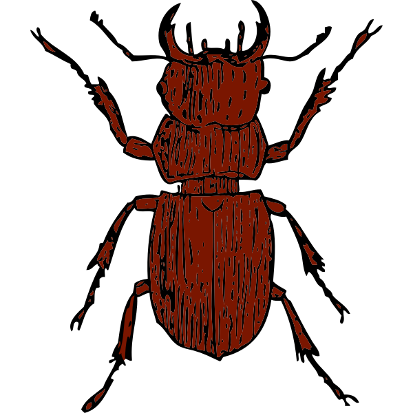 SVG Vector graphics of stag beetle