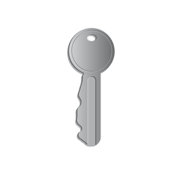 SVG Vector graphics of weird shaped door key