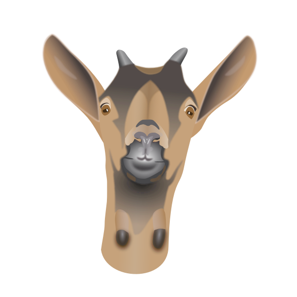 SVG Vector graphics of young alpine goat head