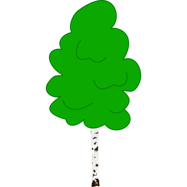 SVG Vector graphics of young birch in color