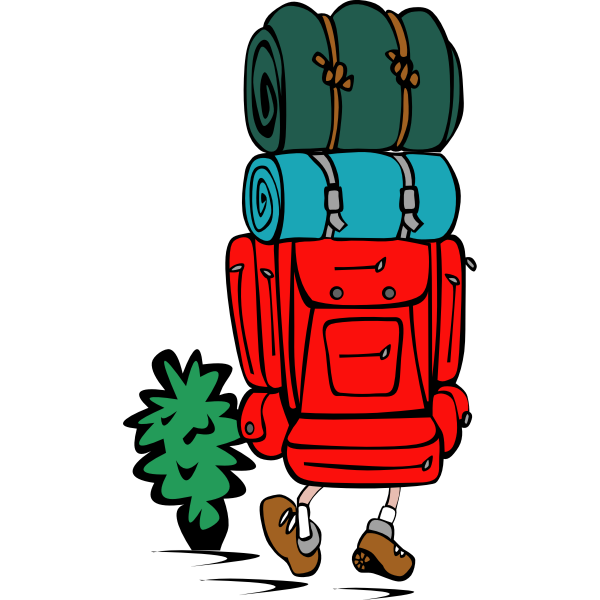 SVG Vector illustration of a backpacker in color