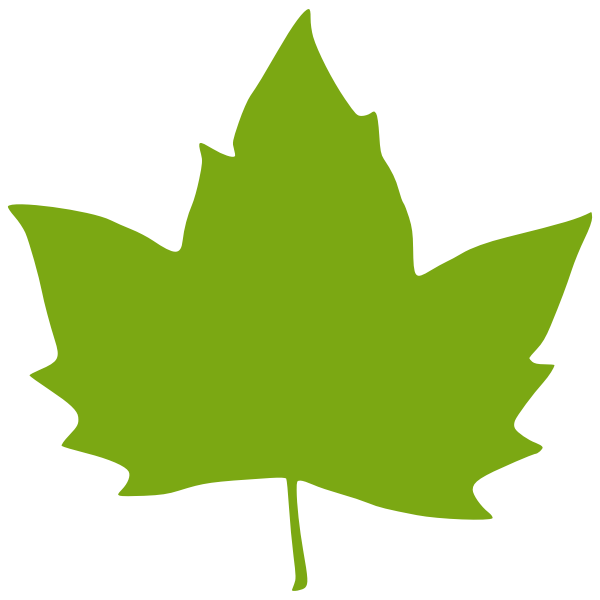 SVG Vector illustration of a maple leaf