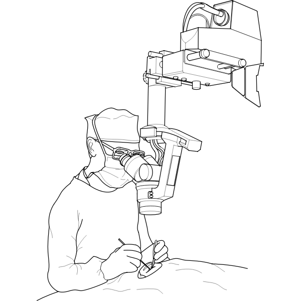 SVG Vector illustration of a surgeon