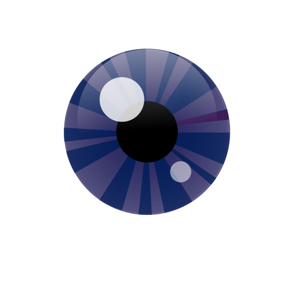 SVG Vector illustration of blue eye iris