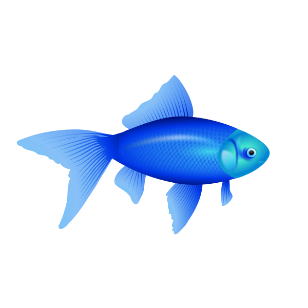 SVG Vector illustration of blue goldfish