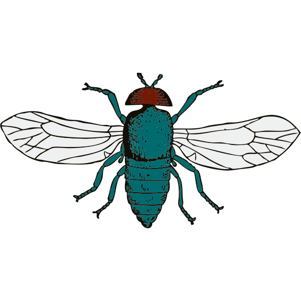 SVG Vector illustration of bluebottle fly