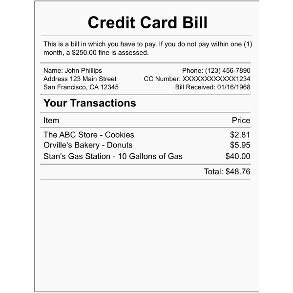 SVG Vector illustration of credit card bill example