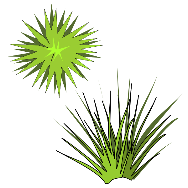 SVG Vector illustration of green spiky plant with green sun above