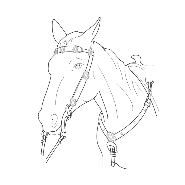 SVG Vector illustration of horse head with lead
