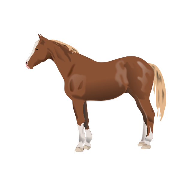 SVG Vector illustration of horse standing