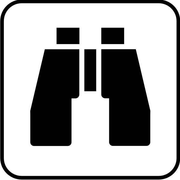 SVG Vector illustration of international binoculats symbol