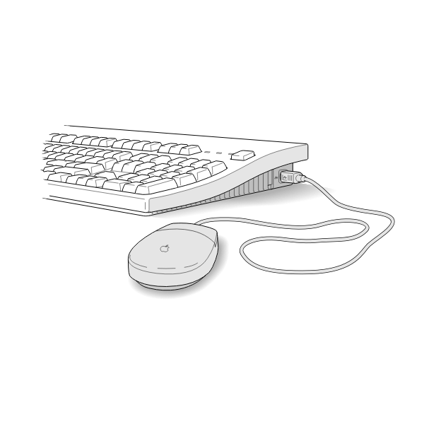 SVG Vector illustration of keyboard Apple mouse
