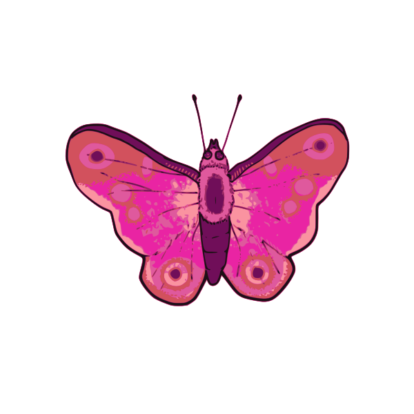 SVG Vector illustration of pink and purple butterfly