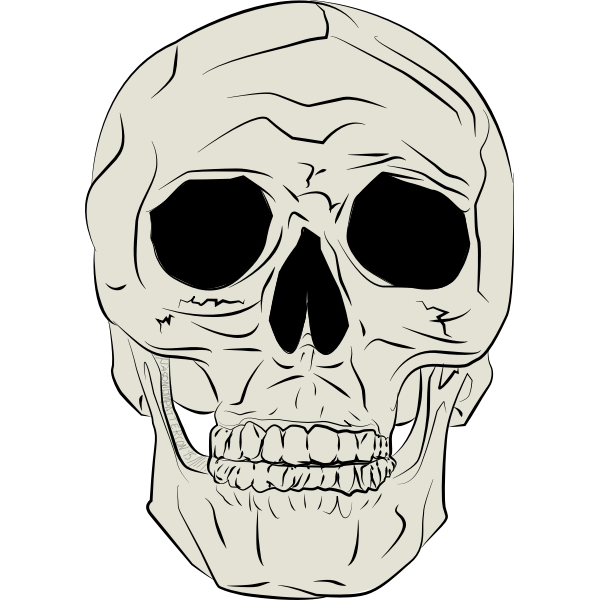 SVG Vector illustration of real human skull