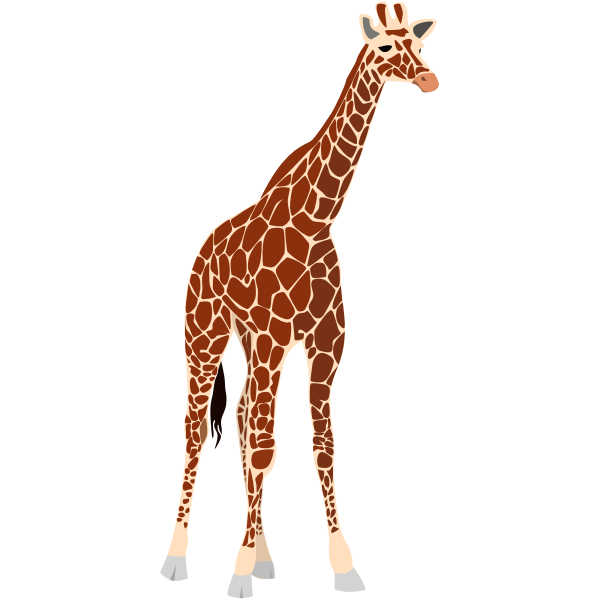 SVG Vector illustration of tall brown giraffe