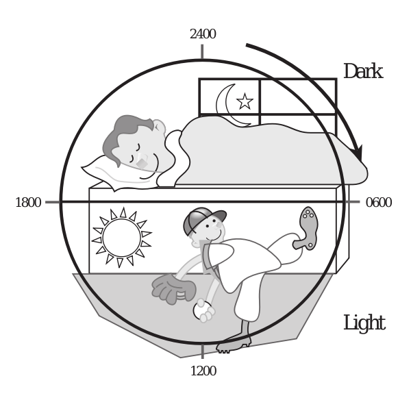 SVG Vector illustration of the 24-hour lightdark cycle