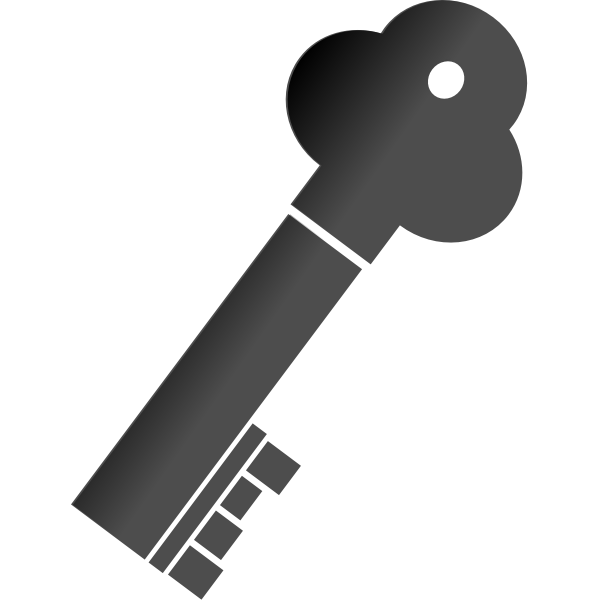 SVG Vector illustration of thick metal door key