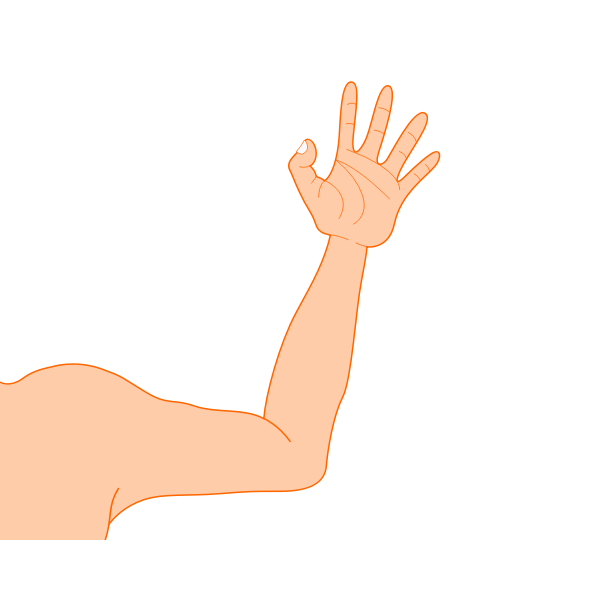 SVG Vector illustration of thin male arm