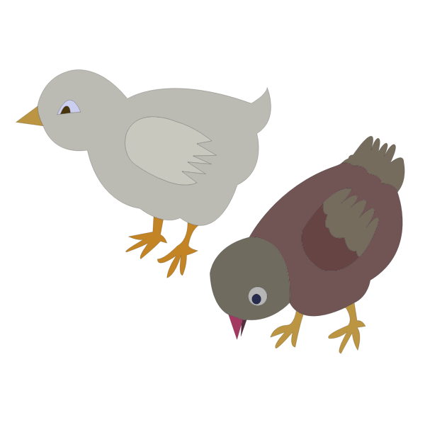 SVG Vector illustration of two colored chickens roaming around