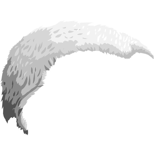 SVG Vector illustration of vanity hair element