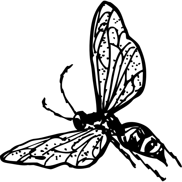 SVG Vector illustration of wasp