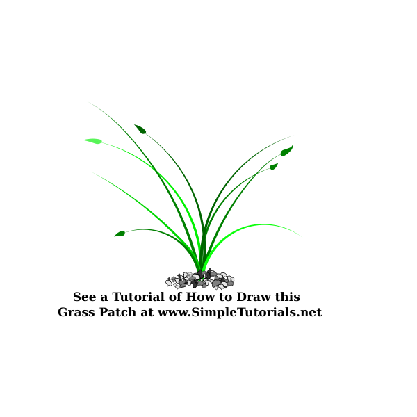 SVG Vector illustration of wide growing grass patch