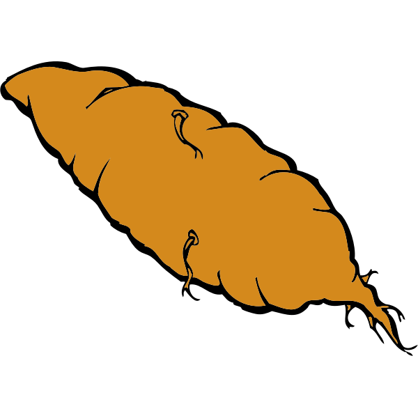 SVG Vector illustration of yam