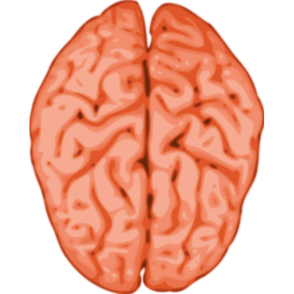SVG Vector image of a brain