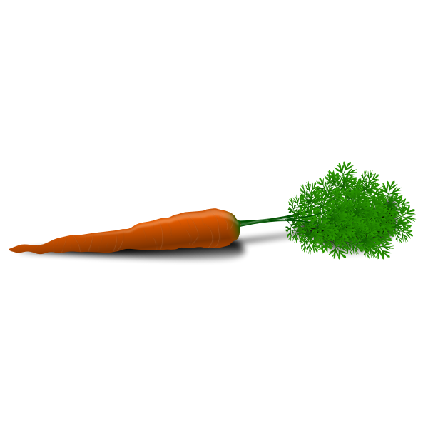 SVG Vector image of a carrot