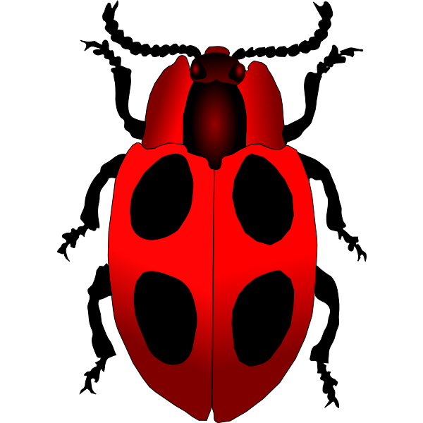 SVG Vector image of a cartoon ladybug inscet