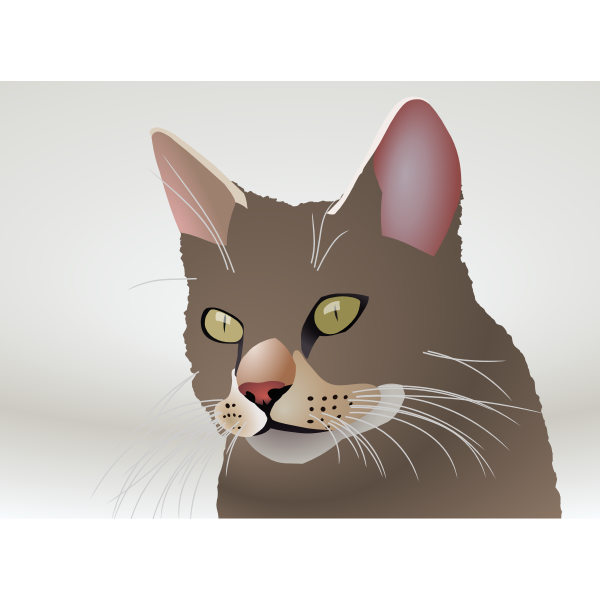 SVG Vector image of a cat