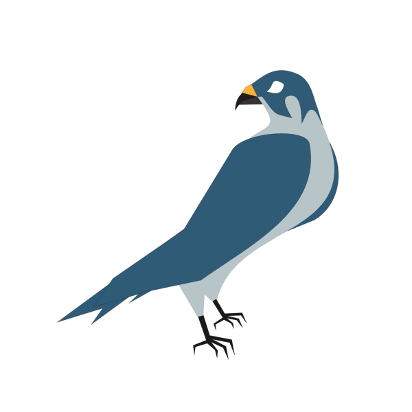 SVG Vector image of a hawk