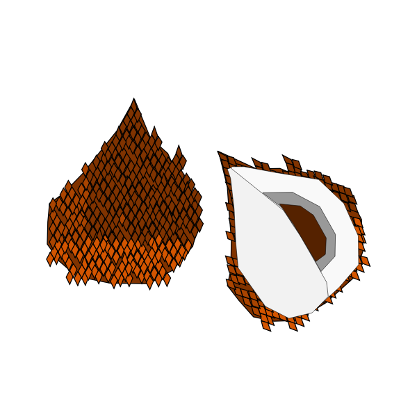 SVG Vector image of a snake fruit