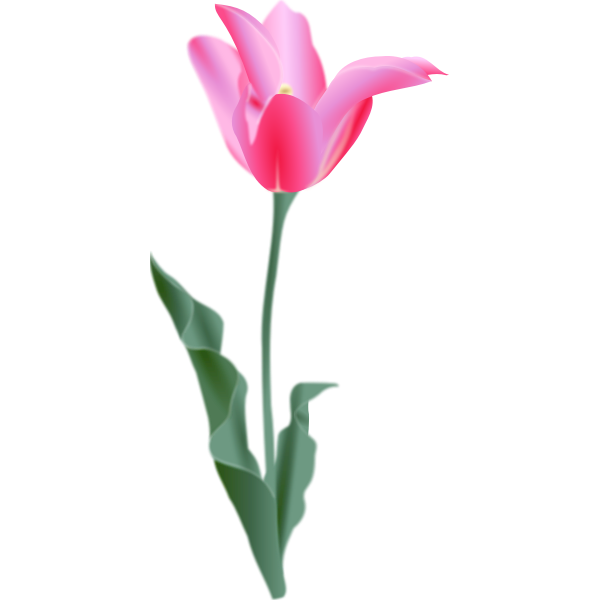 SVG Vector image of a tulip