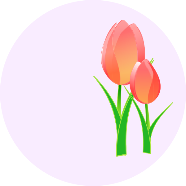 SVG Vector image of a tulips