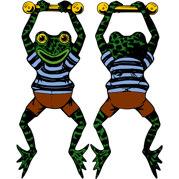 SVG Vector image of acrobat frog